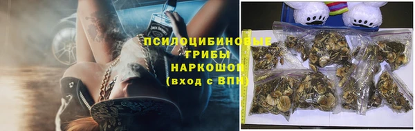 гидропоника Михайловск