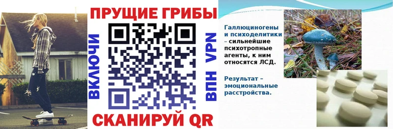 Галлюциногенные грибы мухоморы  наркошоп  Кедровый 